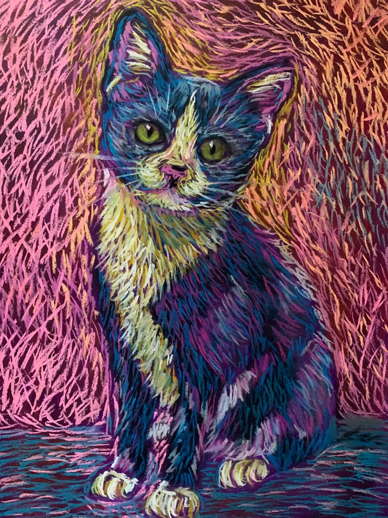An original expressionist soft pastel colorful cat painting in A3 format by Savchenko, depicting a cute dark blue tuxedo cat with a white bib and paws, bright green eyes, set against a highly textured pink background.