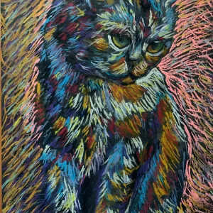 An original Expressionist Colorful Cat Painting in soft pastel by Savchenko, depicting a sitting cat with green eyes and textured, vibrant fur in blue, orange, and purple strokes, against a dark paper background with pink highlights.