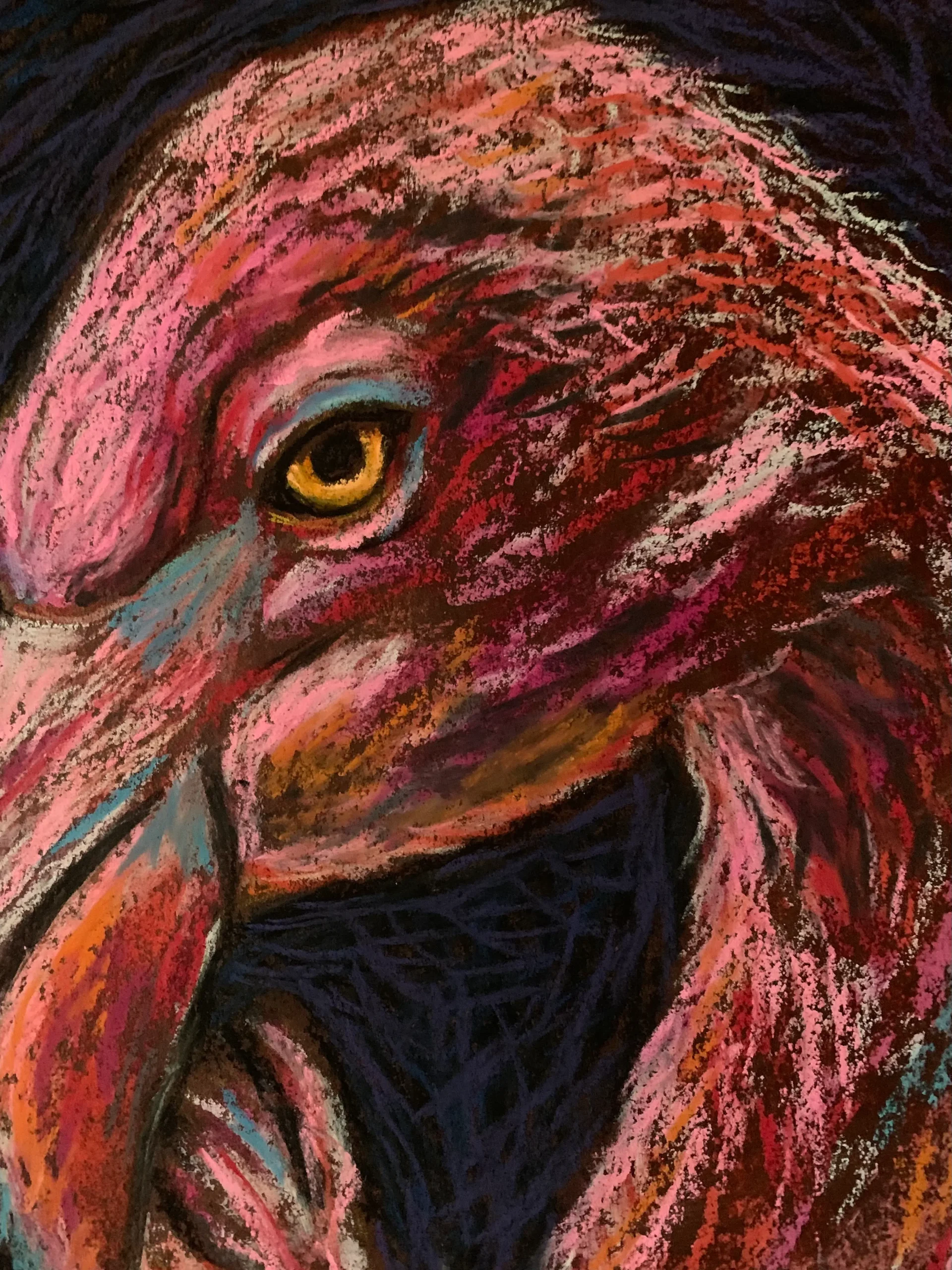 An original expressionist flamingo portrait painting in soft pastel, showcasing a detailed pink bird with an intense yellow eye against a dark textured background.