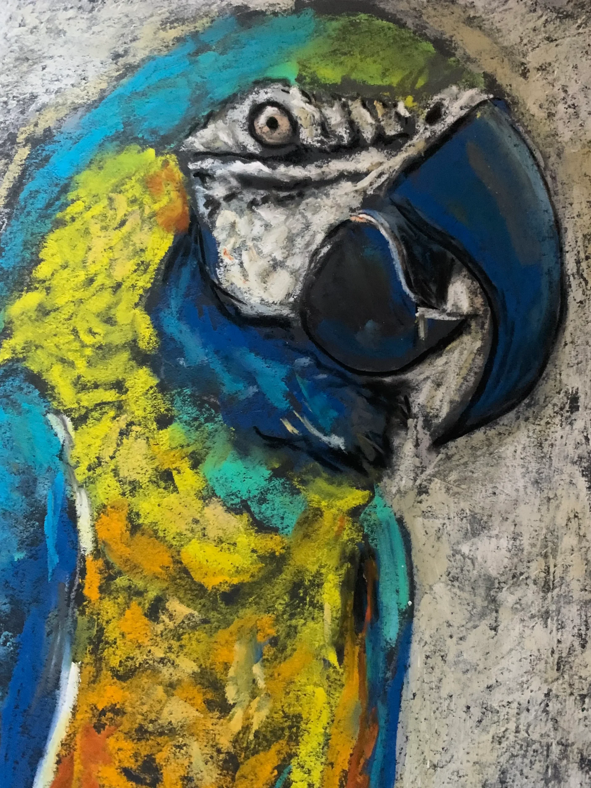 An original expressionist macaw parrot painting in soft pastel, depicting a vibrant blue and yellow tropical bird perched on a branch against a textured background.