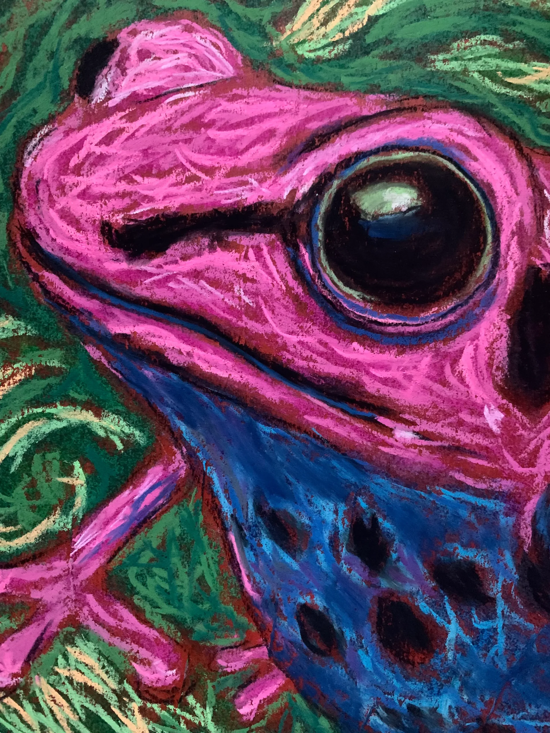 An original expressionist poison dart frog painting in soft pastel, showcasing a bright pink frog with black spots and a blue belly on a green background.