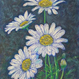 An original impressionist daisy flowers painting in soft pastel, featuring four white daisies with yellow centers against a dark blue-grey background.