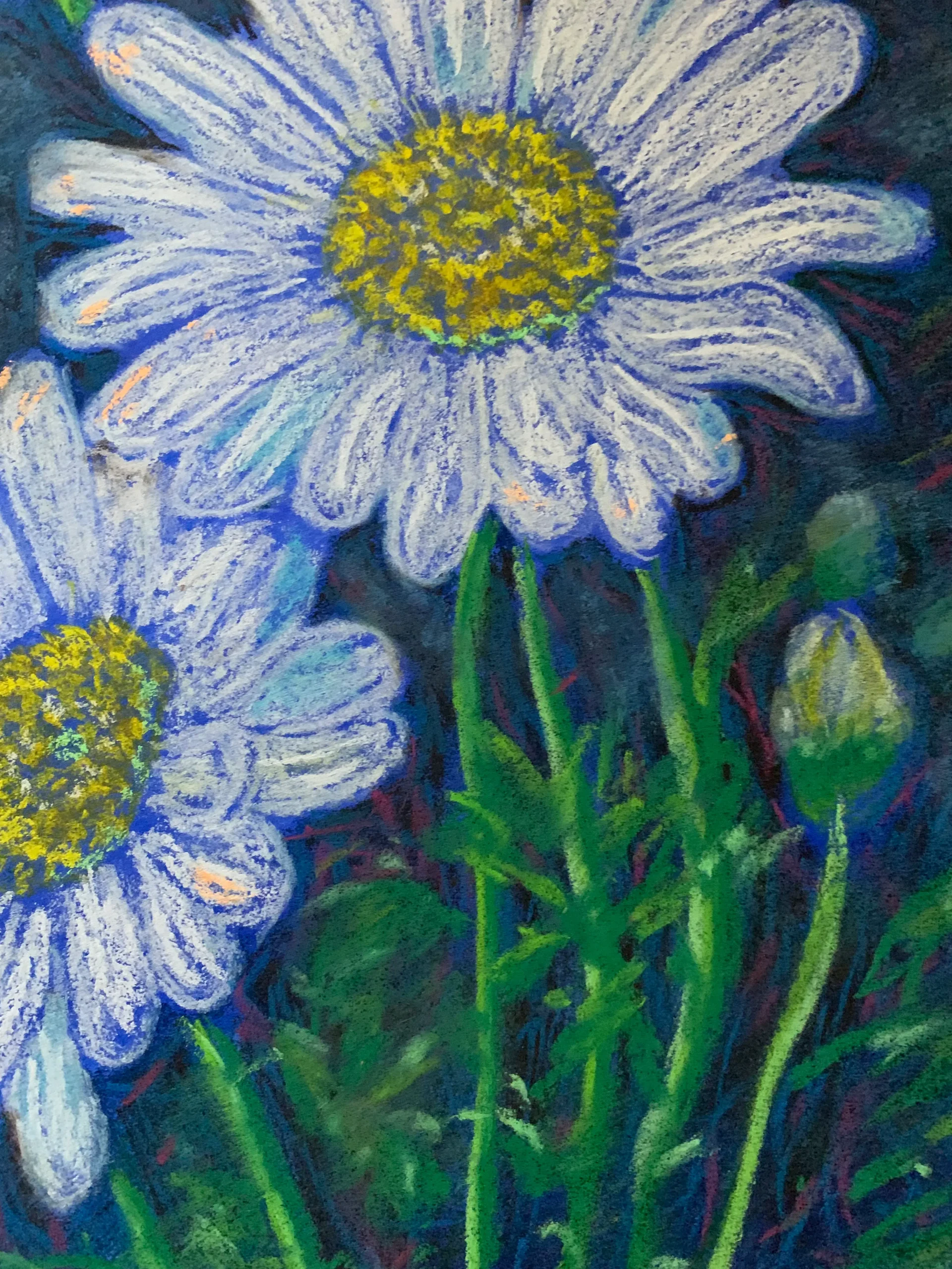 An original impressionist daisy flowers painting in soft pastel, featuring four white daisies with yellow centers against a dark blue-grey background.