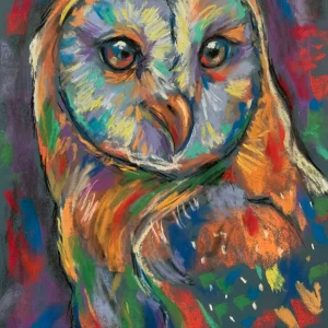 An original expressionist barn owl painting in soft pastel by Savchenko on A3 format, depicting a barn owl with large soulful eyes, vibrant orange, yellow, turquoise, and lavender plumage against a dark grey background.