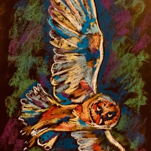 An original expressionist gliding owl painting in soft pastel by Savchenko on A3 format, depicting a barn owl banking in flight with widespread patterned wings, a heart-shaped orange face, and a direct gaze against a deep green and purple background.