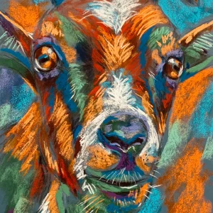 An original expressionist goat portrait painting in soft pastel by Savchenko on A3 format, depicting a colorful goat face with expressive amber eyes, horns, and vibrant orange and turquoise brushstrokes against a grey background.