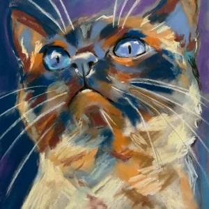 An original expressive cat portrait with blue eyes in soft pastel by Savchenko on A3 format, depicting a cat face looking upwards with glowing blue eyes, cream and orange fur, and white whiskers against a purple background.