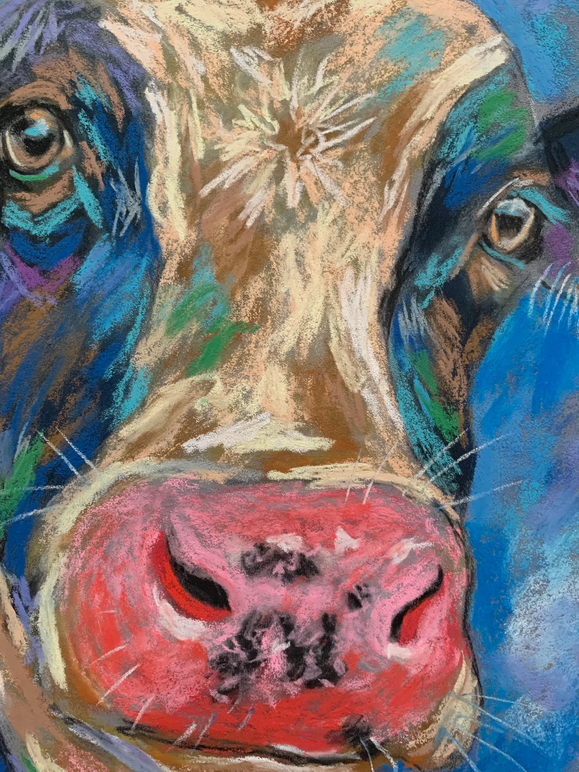 Close-up detail of expressionist soft pastel cow pink muzzle and eyes texture