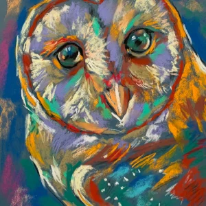 An original expressive owl soft pastel painting by Savchenko on A3 format, depicting a colorful barn owl portrait with large glowing eyes, a heart-shaped face, and vibrant orange and turquoise feathers against a blue background.